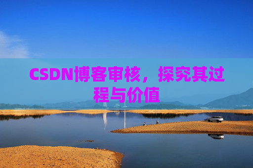 CSDN博客审核，探究其过程与价值
